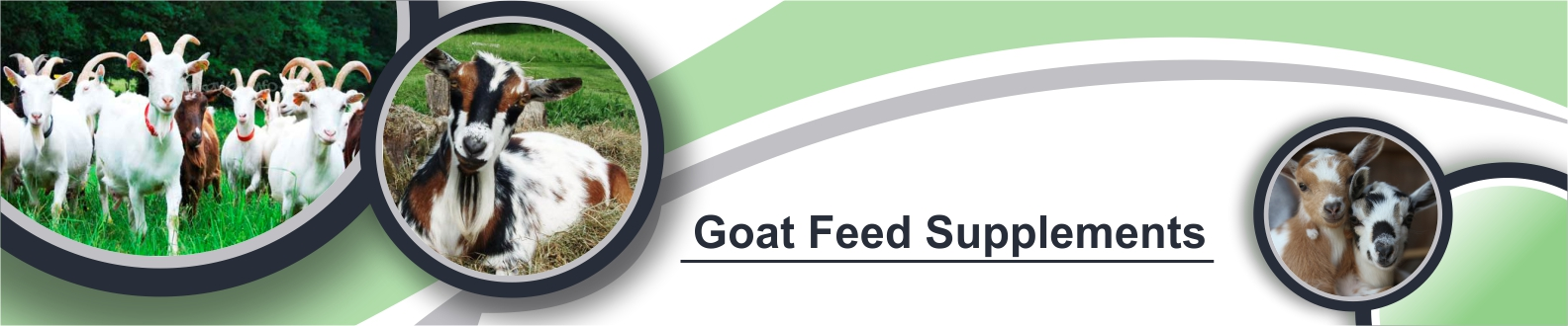goat-banner-image