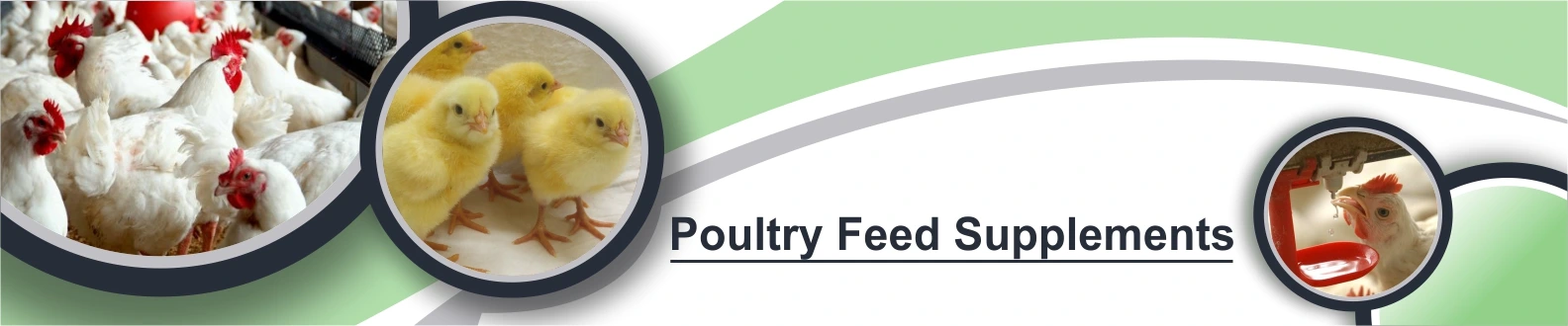 poultry-banner-image